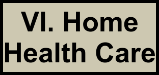 Logo of Vl. Home Health Care, , Falls Church, VA