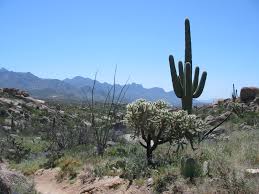 Best Places to Retire Arizona