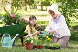 Gardening and Dementia Care