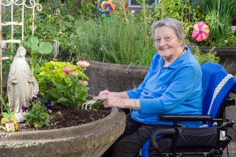 senior in wheelchair gardening