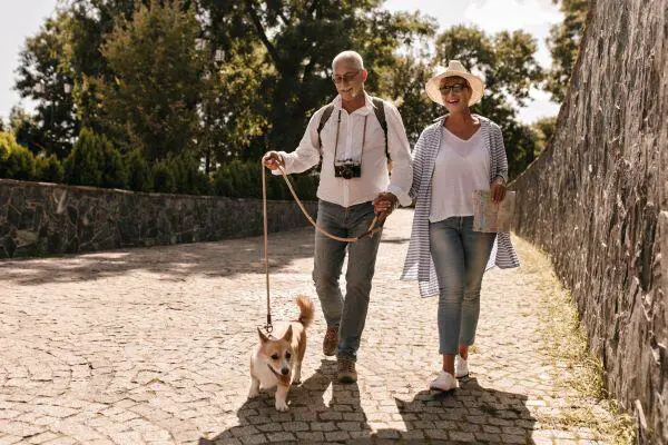 4 Dog Breeds That Can Help In The Safety For Seniors