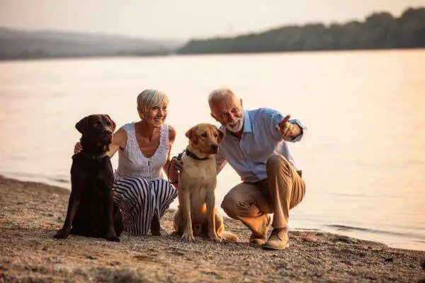 Should Senior Citizens Adopt a Pet: Pros and Cons