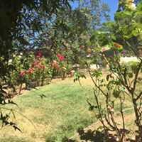 Photo of Valley View Guest Home, Assisted Living, Placerville, CA 2