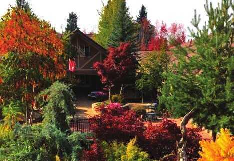 Photo of The Courtyard at Coeur D'Alene, Assisted Living, Memory Care, Coeur D Alene, ID 2