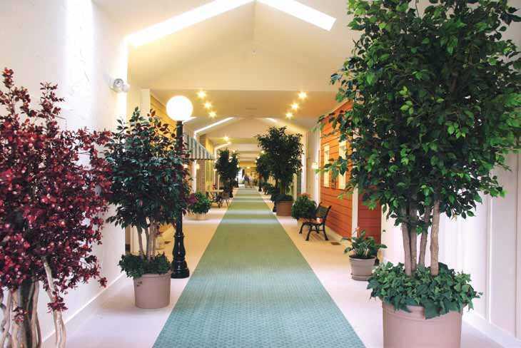 Photo of Green Acres of Ionia, Assisted Living, Ionia, MI 9