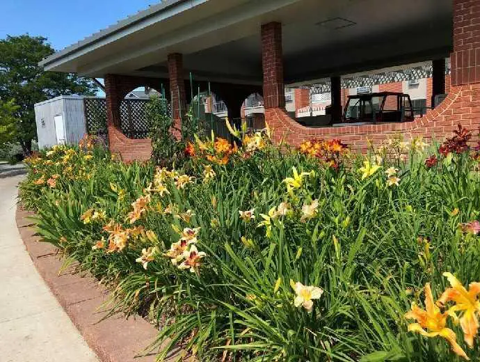 Photo of Good Samaritan Society Loveland Village, Assisted Living, Loveland, CO 13