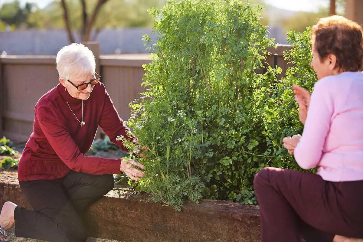 Photo of Abellavida Memory Care, Assisted Living, Memory Care, Phoenix, AZ 12