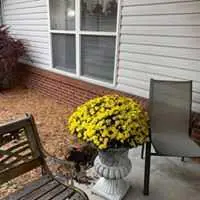 Photo of Twin Oaks Assisted Living - New Castle, Assisted Living, New Castle, KY 7