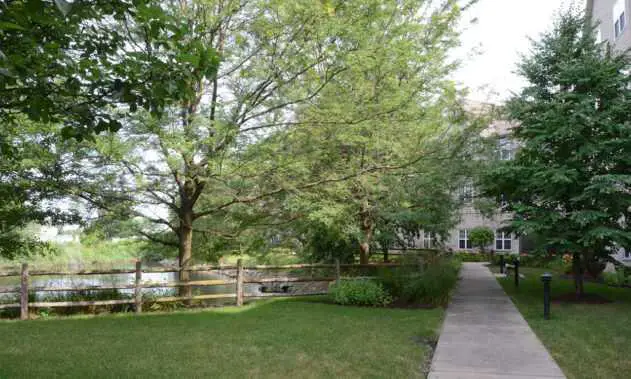 Photo of Willow Falls, Assisted Living, Crest Hill, IL 9