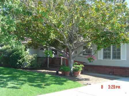 Photo of El Sereno Home, Assisted Living, Los Altos, CA 3