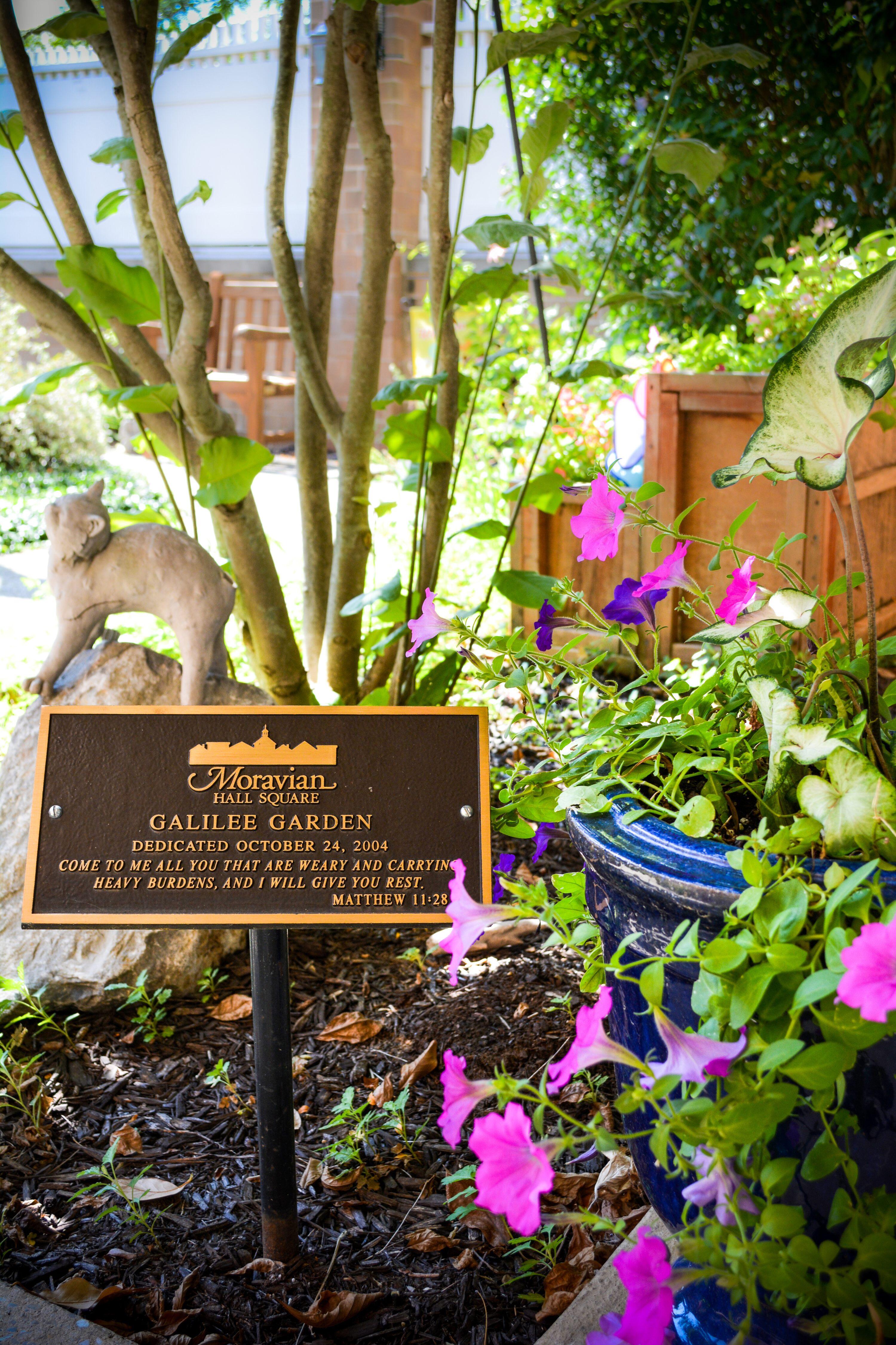 Photo of Moravian Hall Square, Assisted Living, Nursing Home, Independent Living, CCRC, Nazareth, PA 18