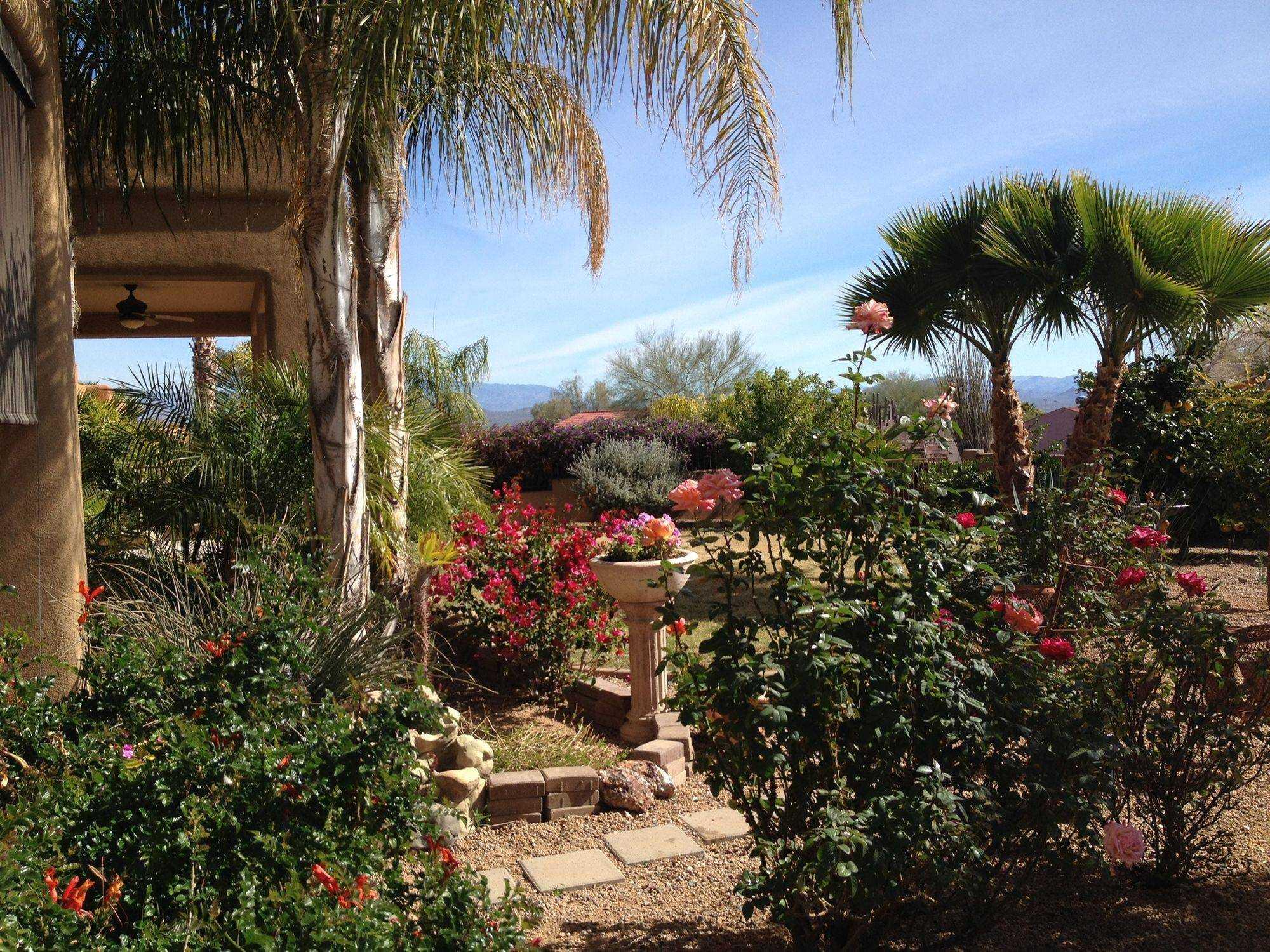 Photo of Mountainside Assisted Living Home, Assisted Living, Fountain Hills, AZ 1