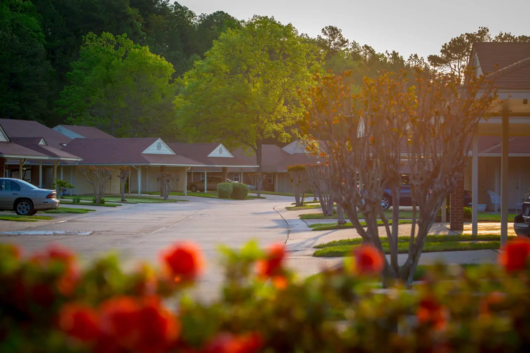 Photo of Parkway Village, Assisted Living, Nursing Home, Independent Living, CCRC, Little Rock, AR 2