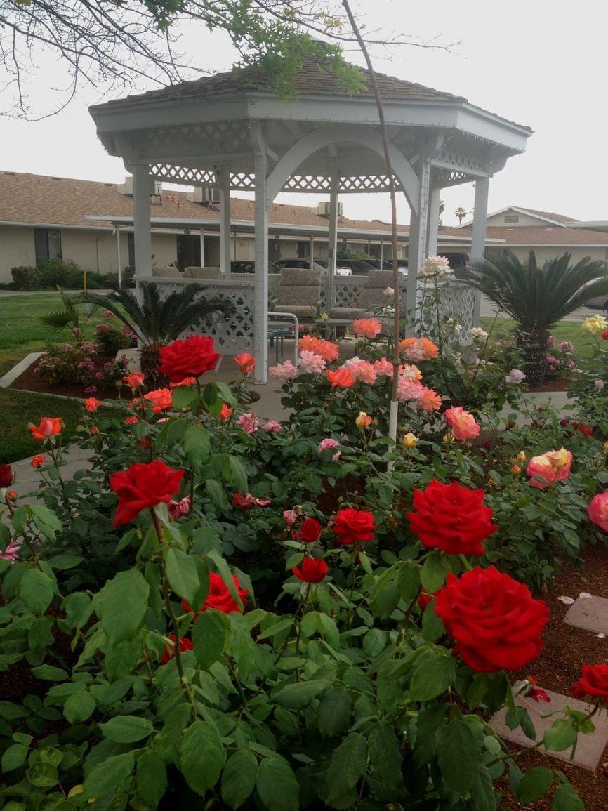 Photo of Sierra View, Assisted Living, Nursing Home, Independent Living, CCRC, Reedley, CA 1
