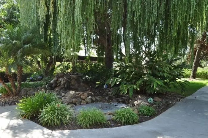 Photo of Covenant Living at Mount Miguel, Assisted Living, Nursing Home, Independent Living, CCRC, Spring Valley, CA 5