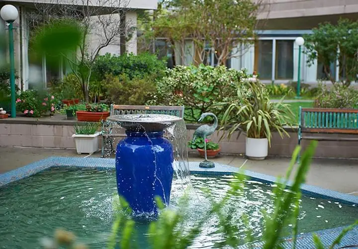 Photo of Piedmont Gardens, Assisted Living, Nursing Home, Independent Living, CCRC, Oakland, CA 6