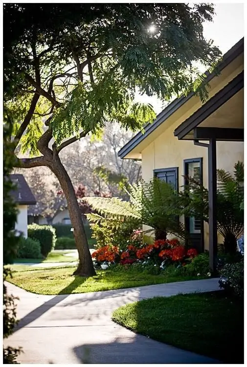 Photo of Valle Verde, Assisted Living, Nursing Home, Independent Living, CCRC, Santa Barbara, CA 16