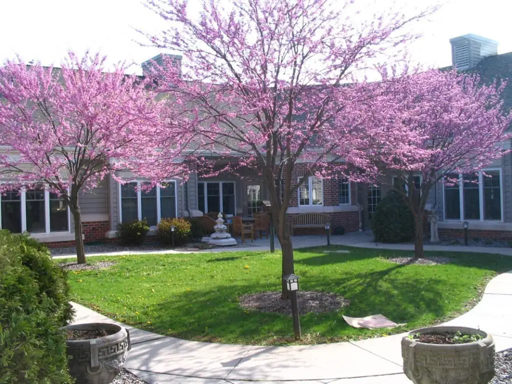 Photo of Landis Homes, Assisted Living, Nursing Home, Independent Living, CCRC, Lititz, PA 3