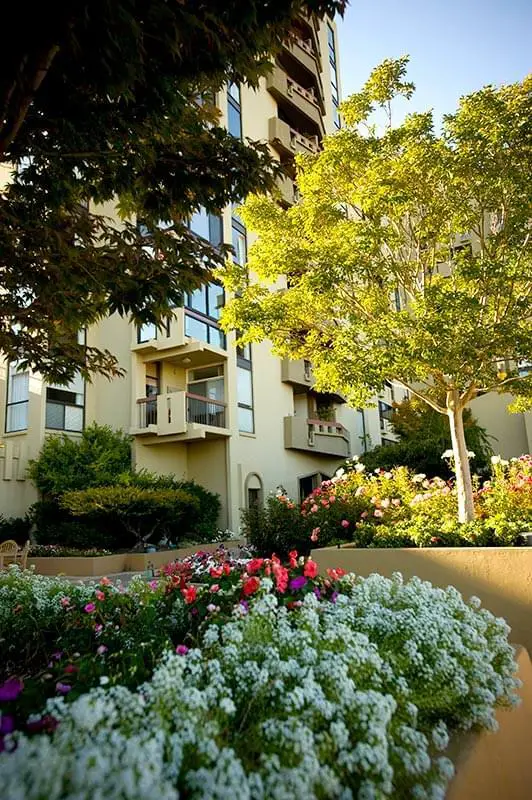 Photo of The Tamalpais, Assisted Living, Nursing Home, Independent Living, CCRC, Greenbrae, CA 15