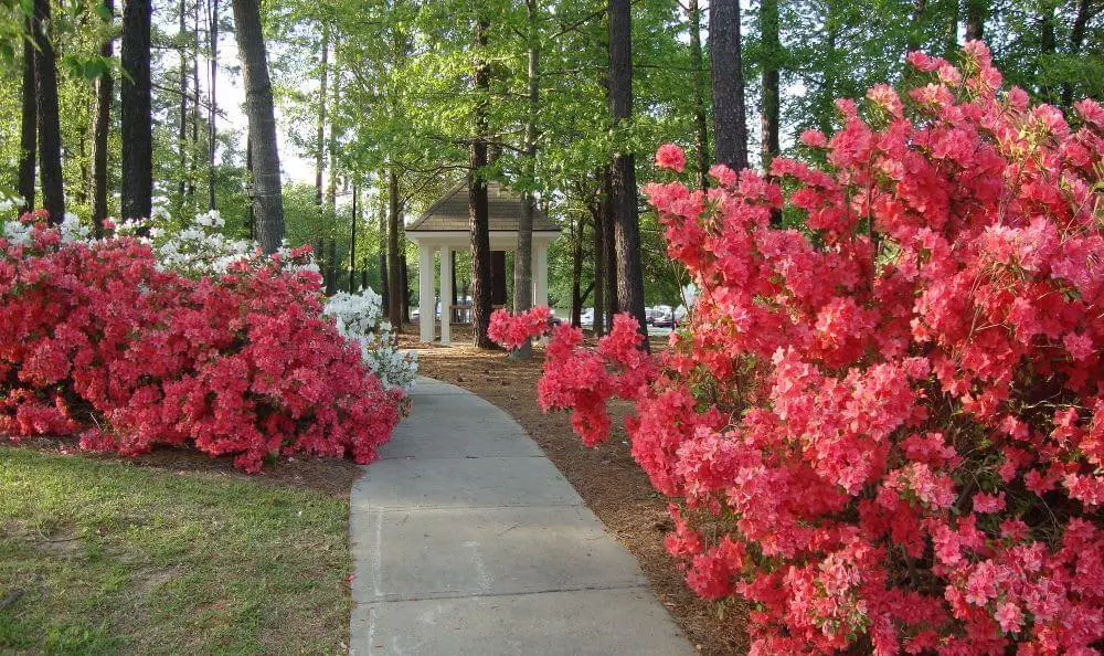 Photo of The Columbia Presbyterian Community, Assisted Living, Nursing Home, Independent Living, CCRC, Lexington, SC 2