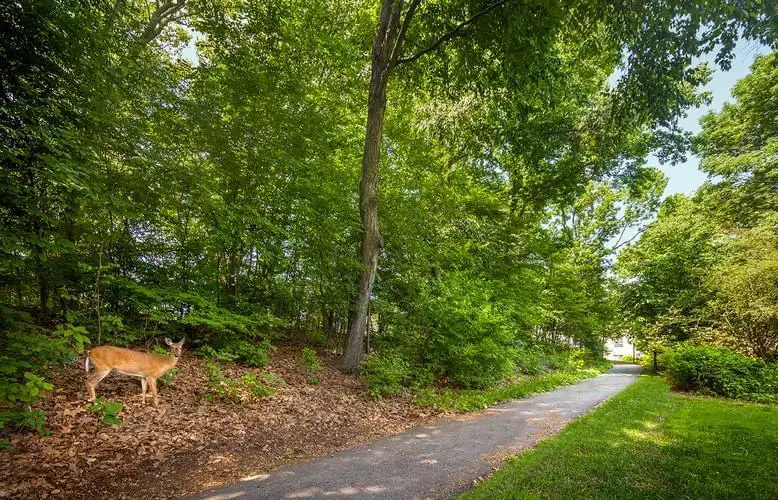 Photo of Winchester Gardens, Assisted Living, Nursing Home, Independent Living, CCRC, Maplewood, NJ 6