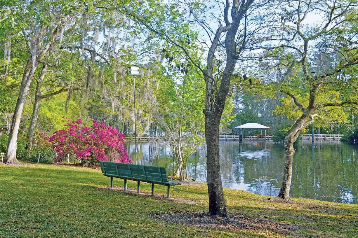 Photo of Westminster Woods on Julington Creek, Assisted Living, Nursing Home, Independent Living, CCRC, Jacksonville, FL 1