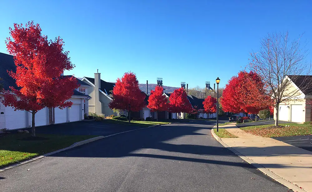 Photo of Moravian Village of Bethlehem, Assisted Living, Nursing Home, Independent Living, CCRC, Bethlehem, PA 31