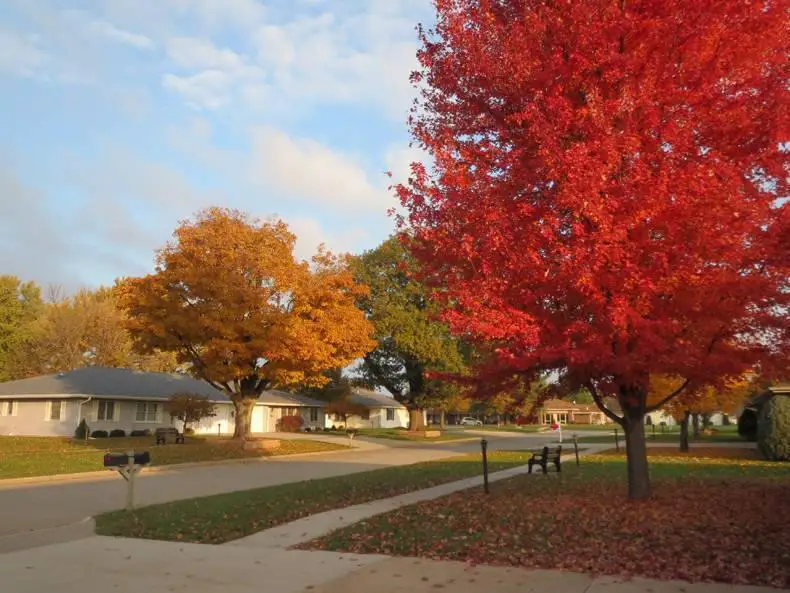 Photo of St. Francis Manor & Seeland Park, Assisted Living, Nursing Home, Independent Living, CCRC, Grinnell, IA 1