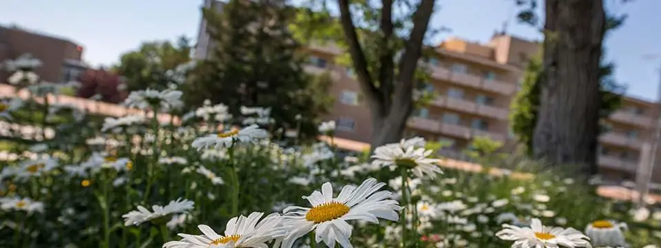 Photo of Brewster Place, Assisted Living, Nursing Home, Independent Living, CCRC, Topeka, KS 9