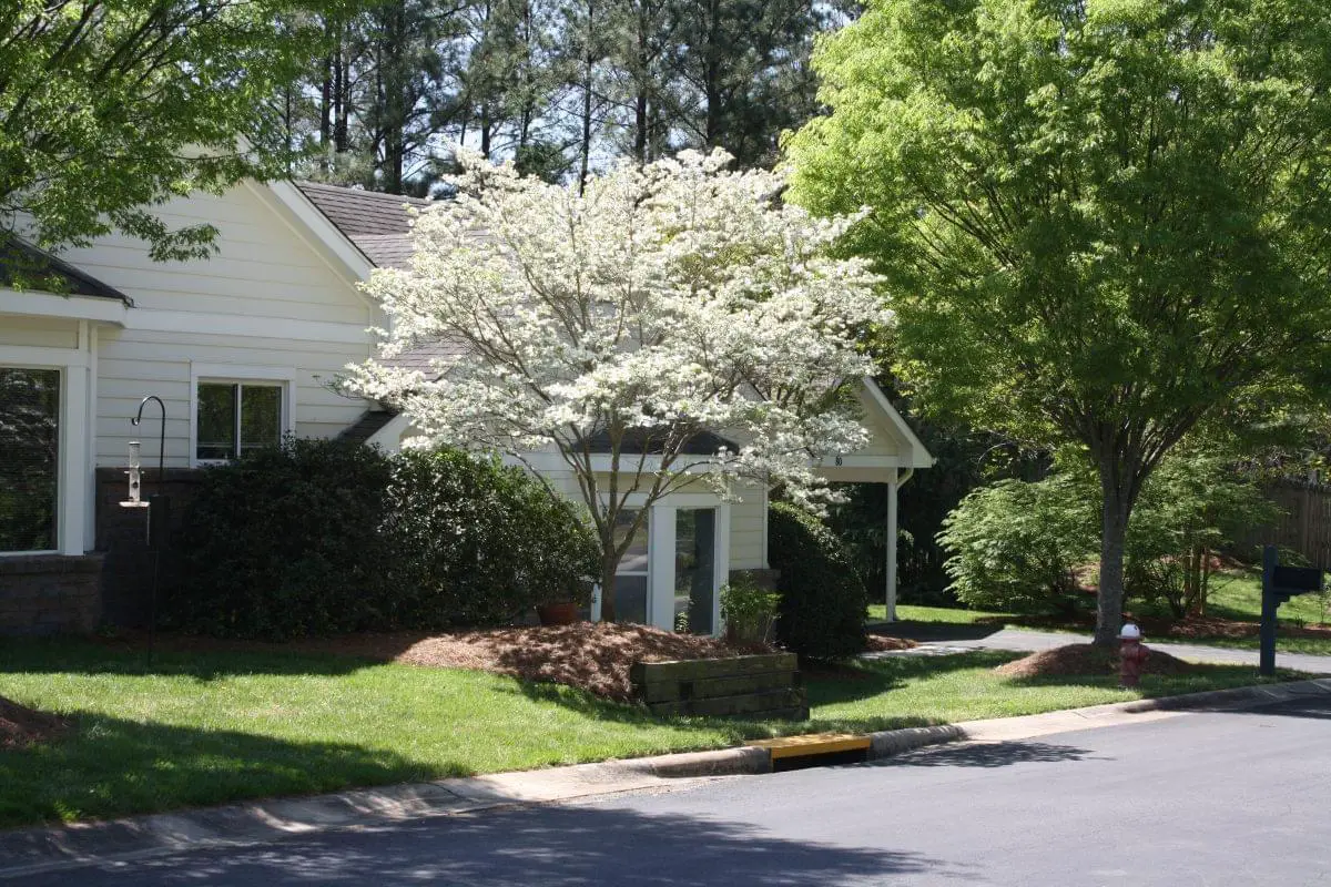 Photo of The Forest at Duke, Assisted Living, Nursing Home, Independent Living, CCRC, Durham, NC 13