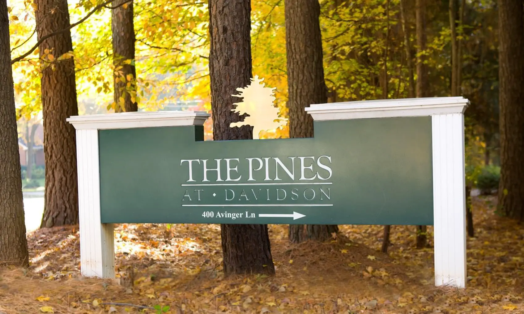 Photo of The Pines at Davidson, Assisted Living, Nursing Home, Independent Living, CCRC, Davidson, NC 2
