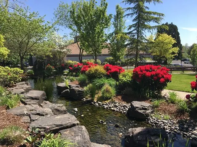 Photo of The Stafford, Assisted Living, Nursing Home, Independent Living, CCRC, Lake Oswego, OR 6