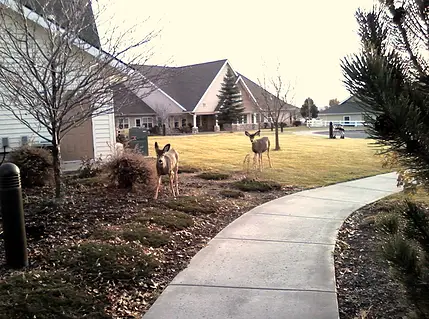 Photo of East Cascade Retirement Community, Assisted Living, Nursing Home, Independent Living, CCRC, Madras, OR 4