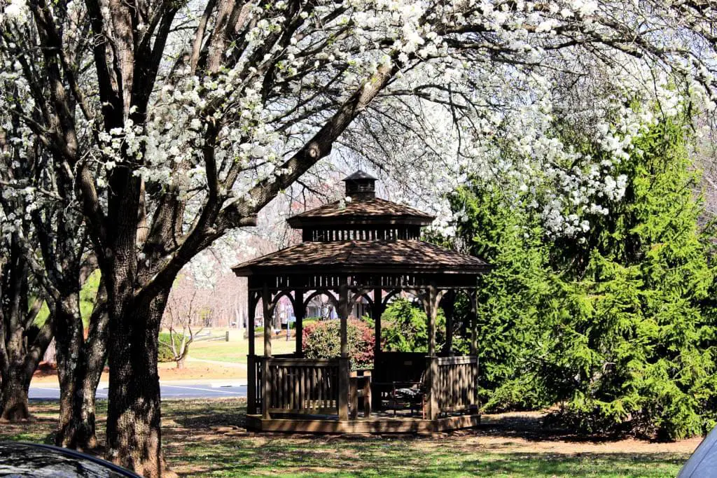 Photo of Countryside Village Retirement Community, Assisted Living, Nursing Home, Independent Living, CCRC, Stokesdale, NC 2