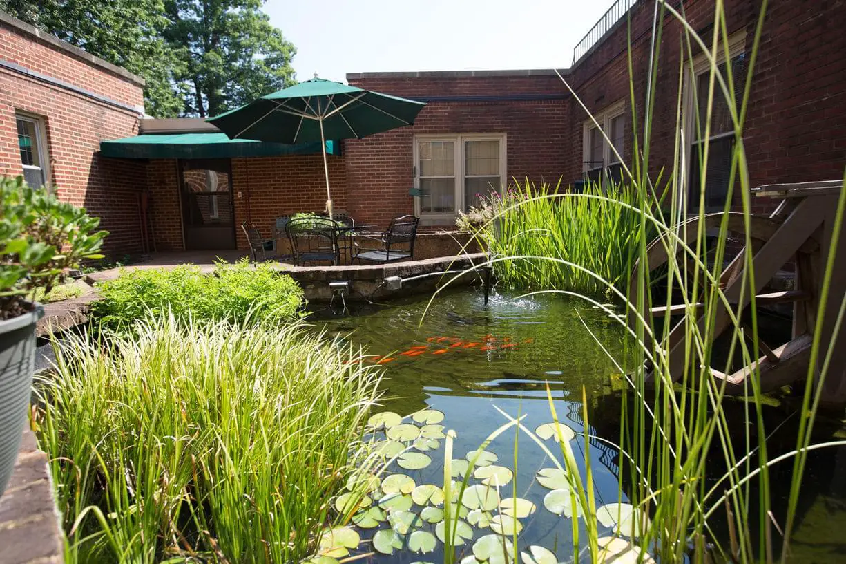 Photo of Martha Jefferson House, Assisted Living, Nursing Home, Independent Living, CCRC, Charlottesville, VA 5