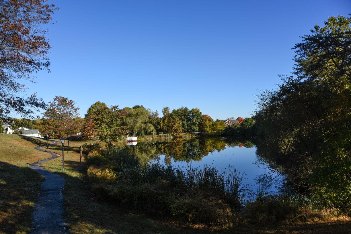 Photo of Westminster at Lake Ridge, Assisted Living, Nursing Home, Independent Living, CCRC, Lake Ridge, VA 7