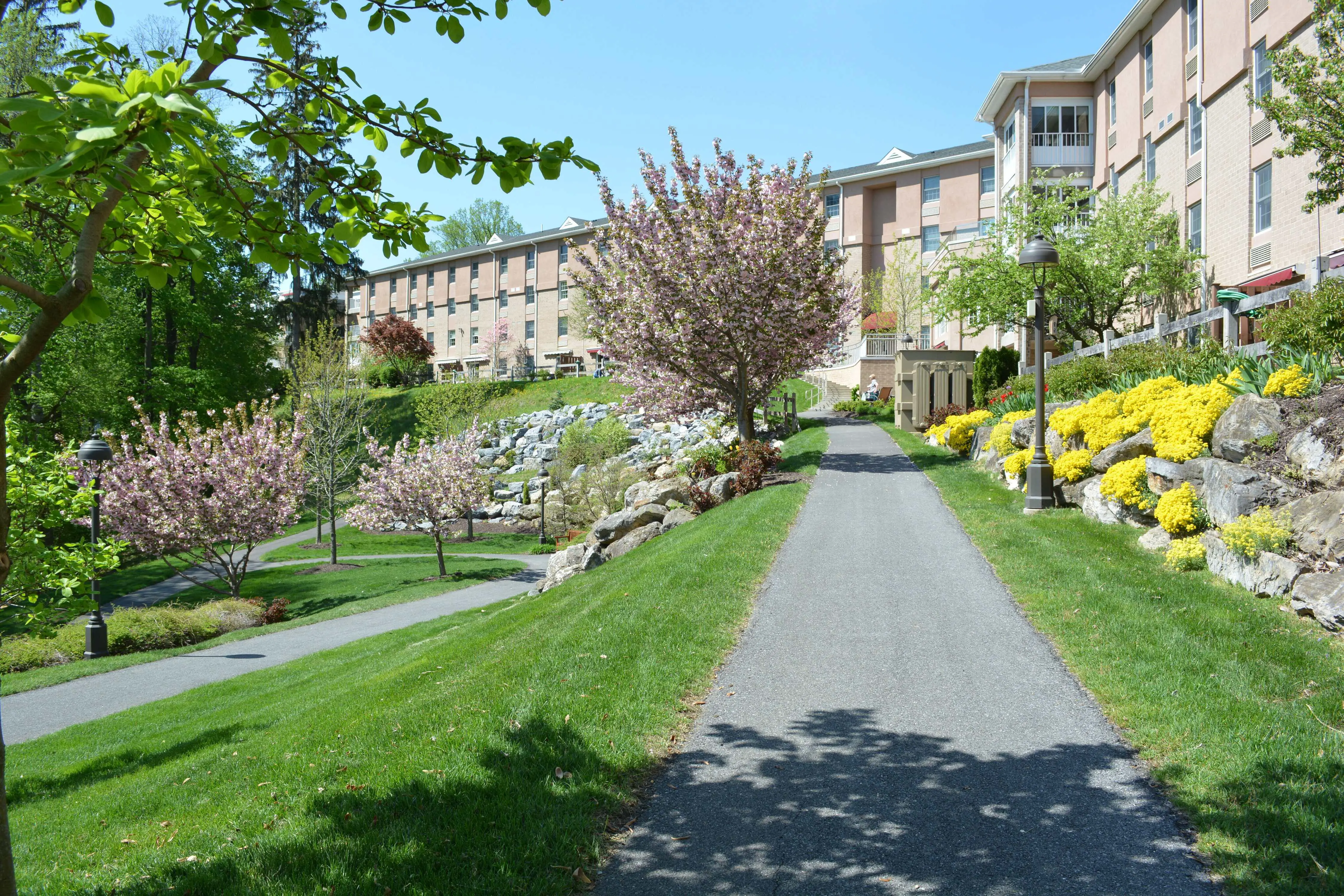 Photo of Moravian Hall Square, Assisted Living, Nursing Home, Independent Living, CCRC, Nazareth, PA 30