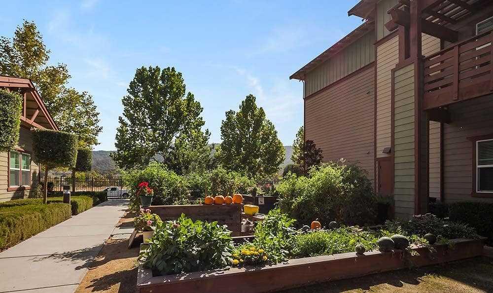 Photo of Merrill Gardens at Gilroy, Assisted Living, Gilroy, CA 3
