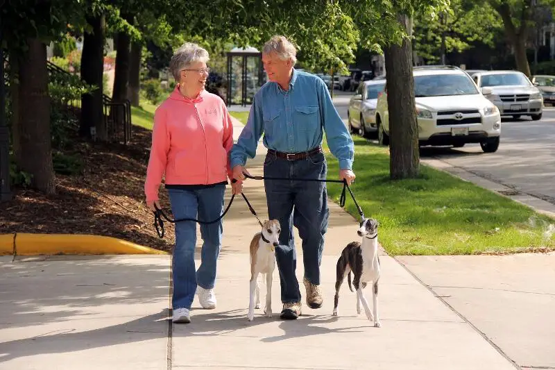 Photo of Saint John's On The Lake, Assisted Living, Nursing Home, Independent Living, CCRC, Milwaukee, WI 21