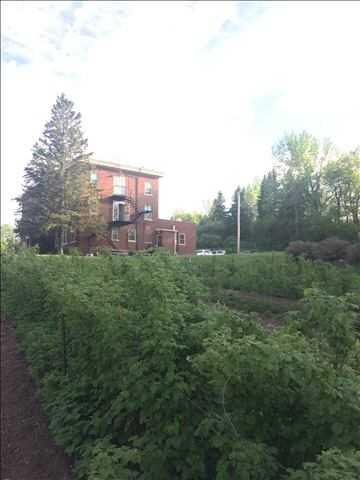 Photo of McCarthy Manor, Assisted Living, Duluth, MN 2