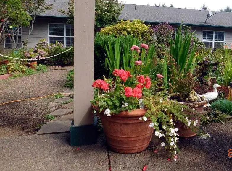 Photo of Sea Aire Assisted Living, Assisted Living, Yachats, OR 8