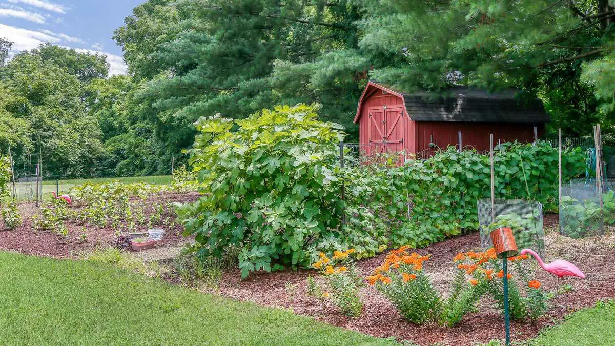 Photo of Maybelle Carter Living, Assisted Living, Madison, TN 3