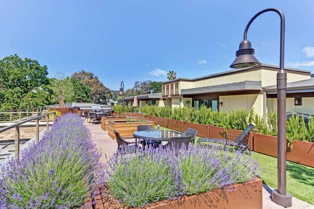 Photo of Merrill Gardens at Rockridge, Assisted Living, Oakland, CA 1