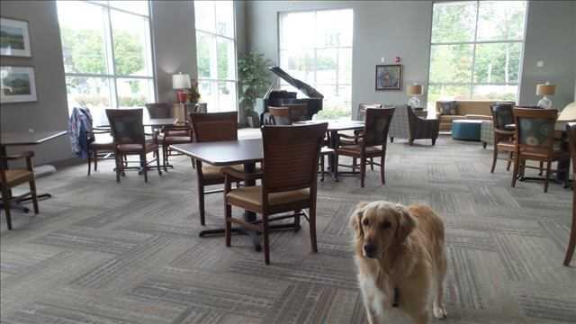 Photo of Beacon Pointe Memory Care, Assisted Living, Memory Care, Portage, MI 1