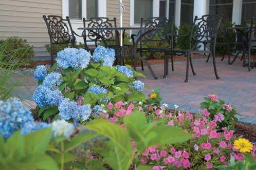 Photo of Windsor Place of Wilmington, Assisted Living, Wilmington, MA 6