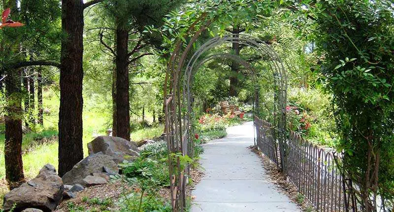 Photo of Elaine's Forest House, Assisted Living, Flagstaff, AZ 4