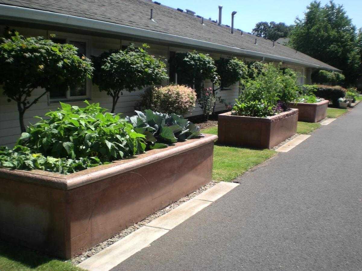Photo of Meadows Courtyard, Assisted Living, Oregon City, OR 7