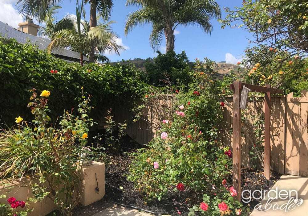 Photo of Garden Abode, Assisted Living, San Diego, CA 9