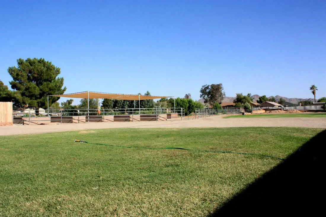 Photo of Young Family Care Homes, Assisted Living, Queen Creek, AZ 8