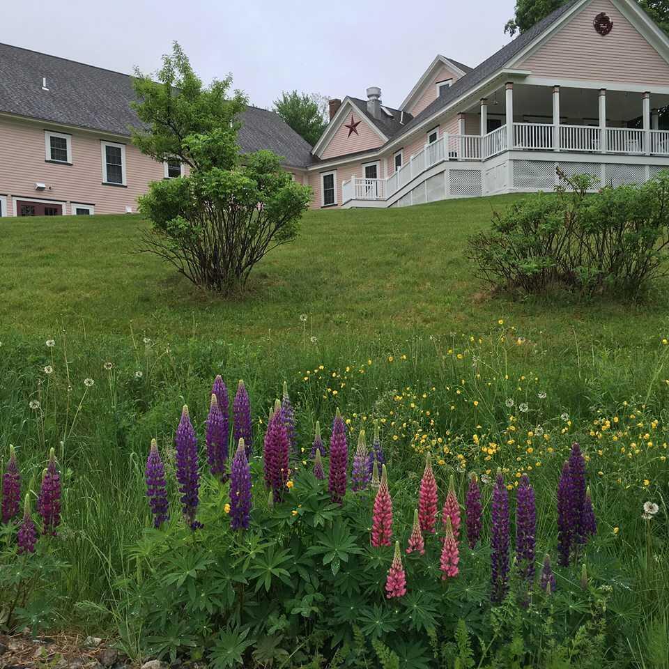 Photo of Vintage Hill, Assisted Living, Pittsfield, NH 6